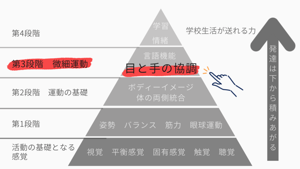 目と手の協調