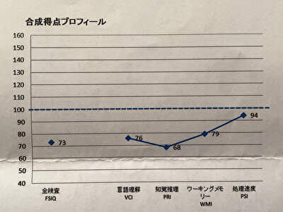 WISC-Ⅳ（ウィスクフォー）検査結果