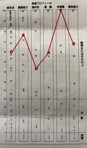 JMAP日本版ミラー幼児発達スクリーニング検査　結果