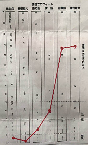 JMAP日本版ミラー幼児発達スクリーニング検査　結果