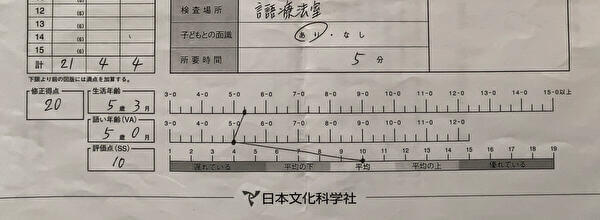 PVT-R 絵画語い発達検査 結果
